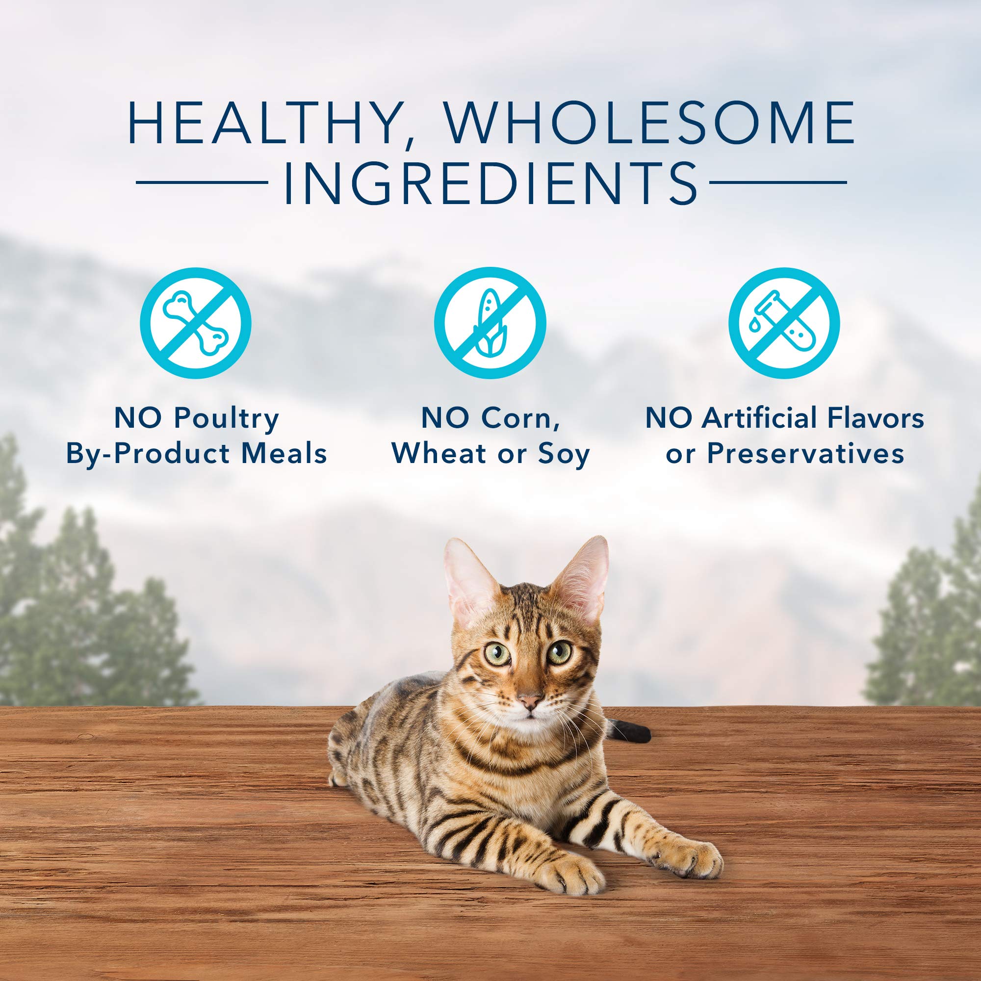 Blue Buffalo Wilderness Trout Treats grain-free ingredients on label for cats.