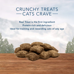 Blue Buffalo Wilderness Trout Treats oven-baked texture emphasizing crisp bite.