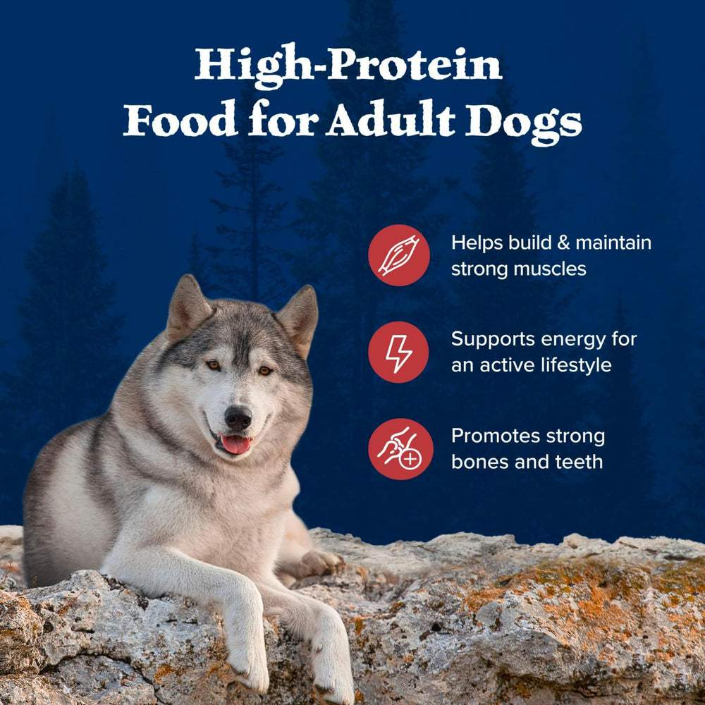 Blue Buffalo Wilderness venison and lamb protein palette illustrates diverse nutrition for active dogs