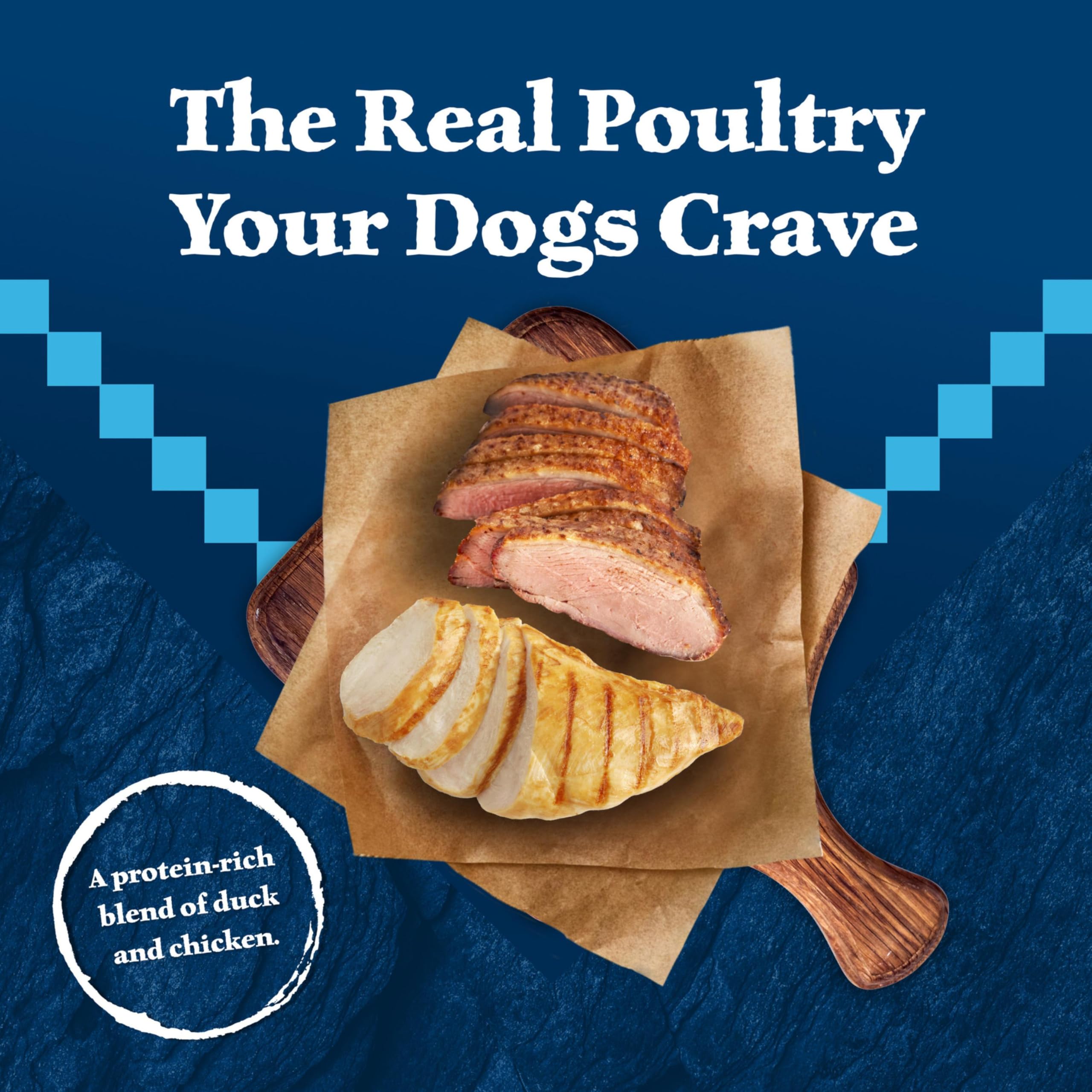Blue Buffalo Wilderness wet dog food in a bowl shows appealing texture and aroma