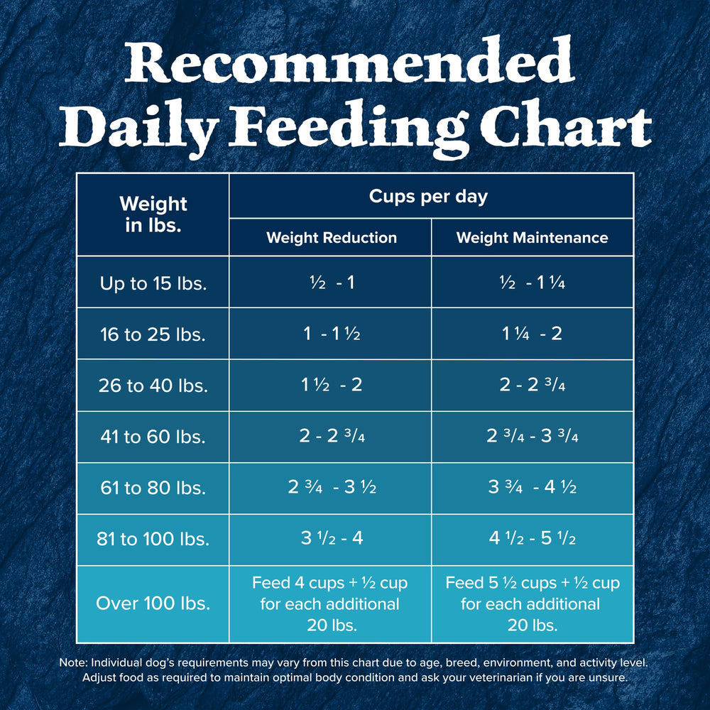 Blue Buffalo Wilderness wholesome grains image showcases balanced nutrition for steady energy.