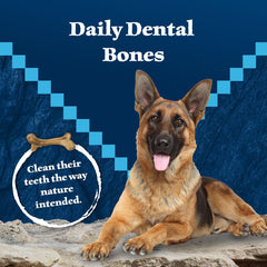 Blue Buffalo Wilderness Wild Bones large dental chew dog chewing during daily treat time