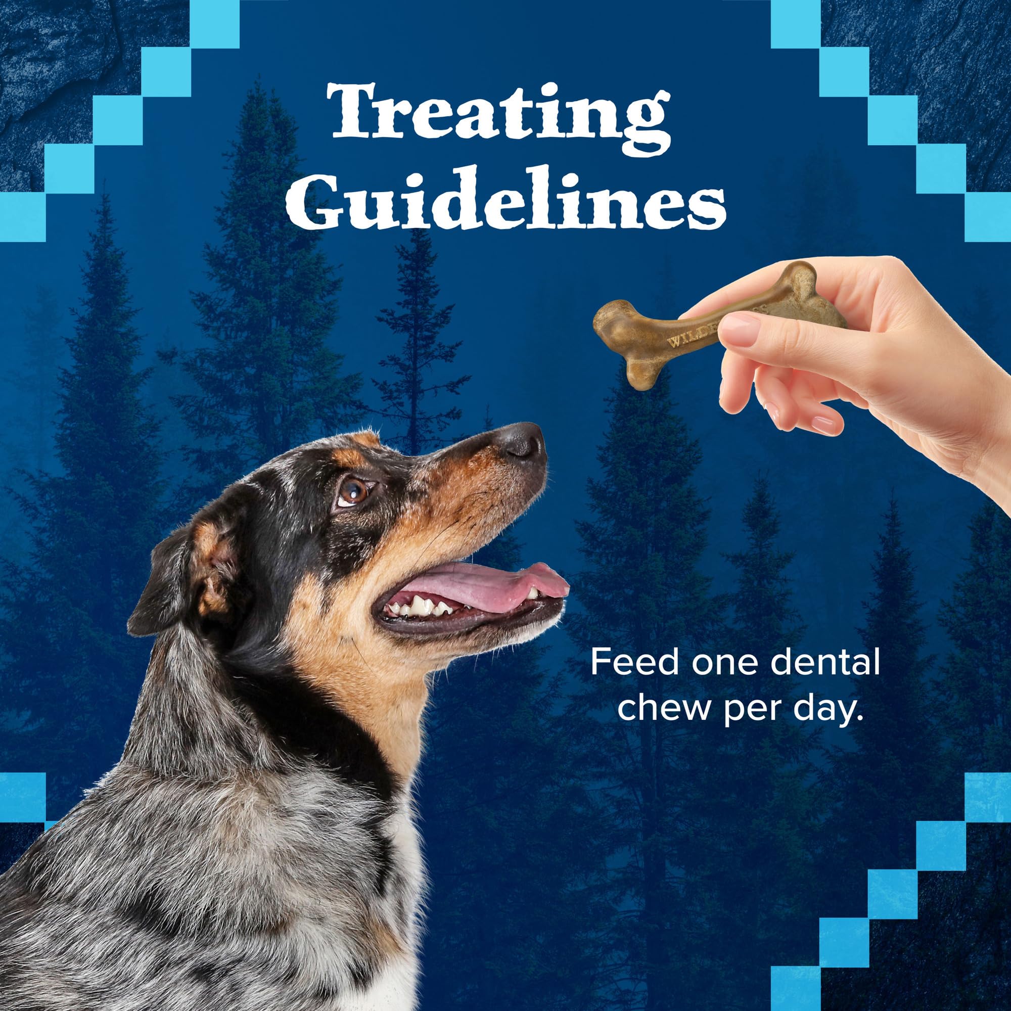 Happy dog during treat time with Wilderness Wild Bones.