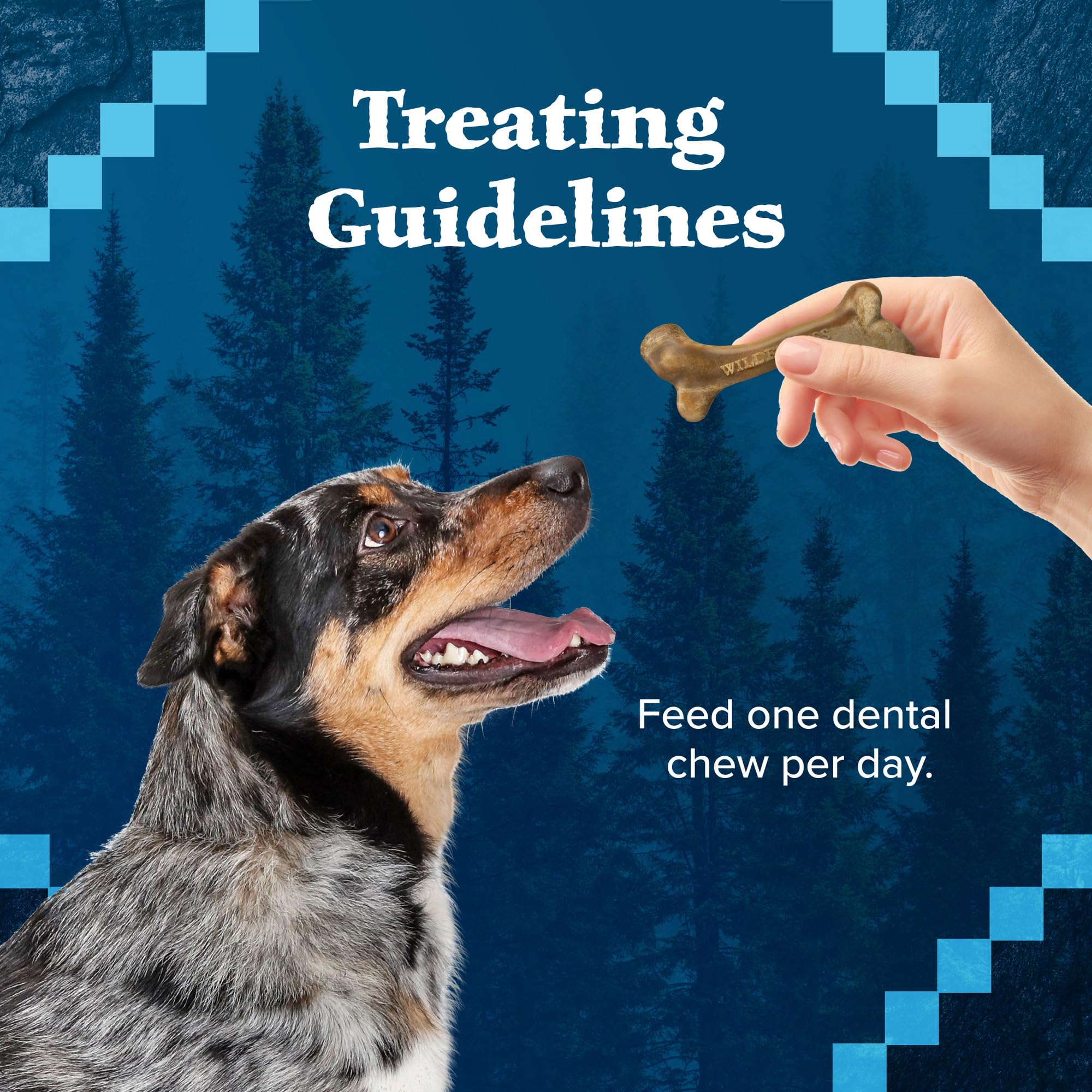 Brand-focused image featuring Blue Buffalo Wilderness Wild Bones Mini Dental Chews and natural imagery.