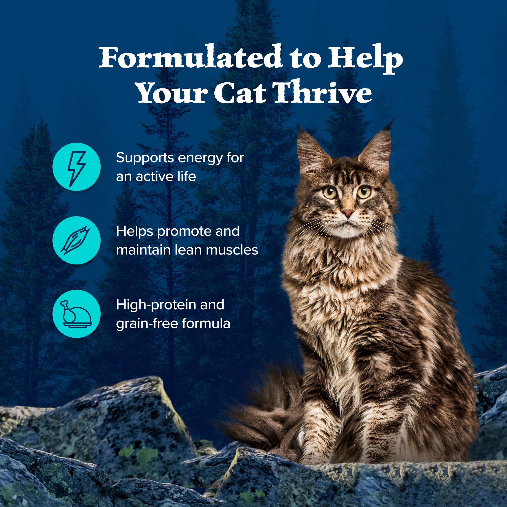 Gravy-coated morsels of BLUE Wilderness chicken-trout cat food in can