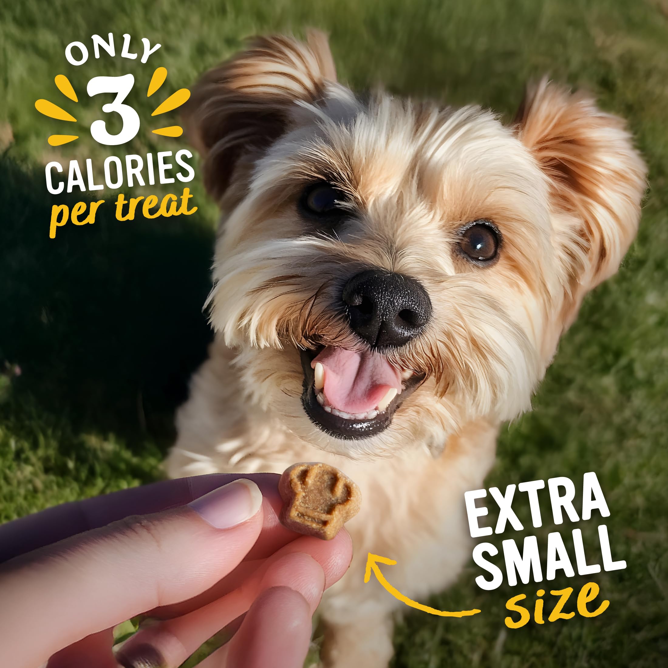 Blue Dog Bakery Perfect Trainers chicken and cheese in eight-pouch format for training sessions.