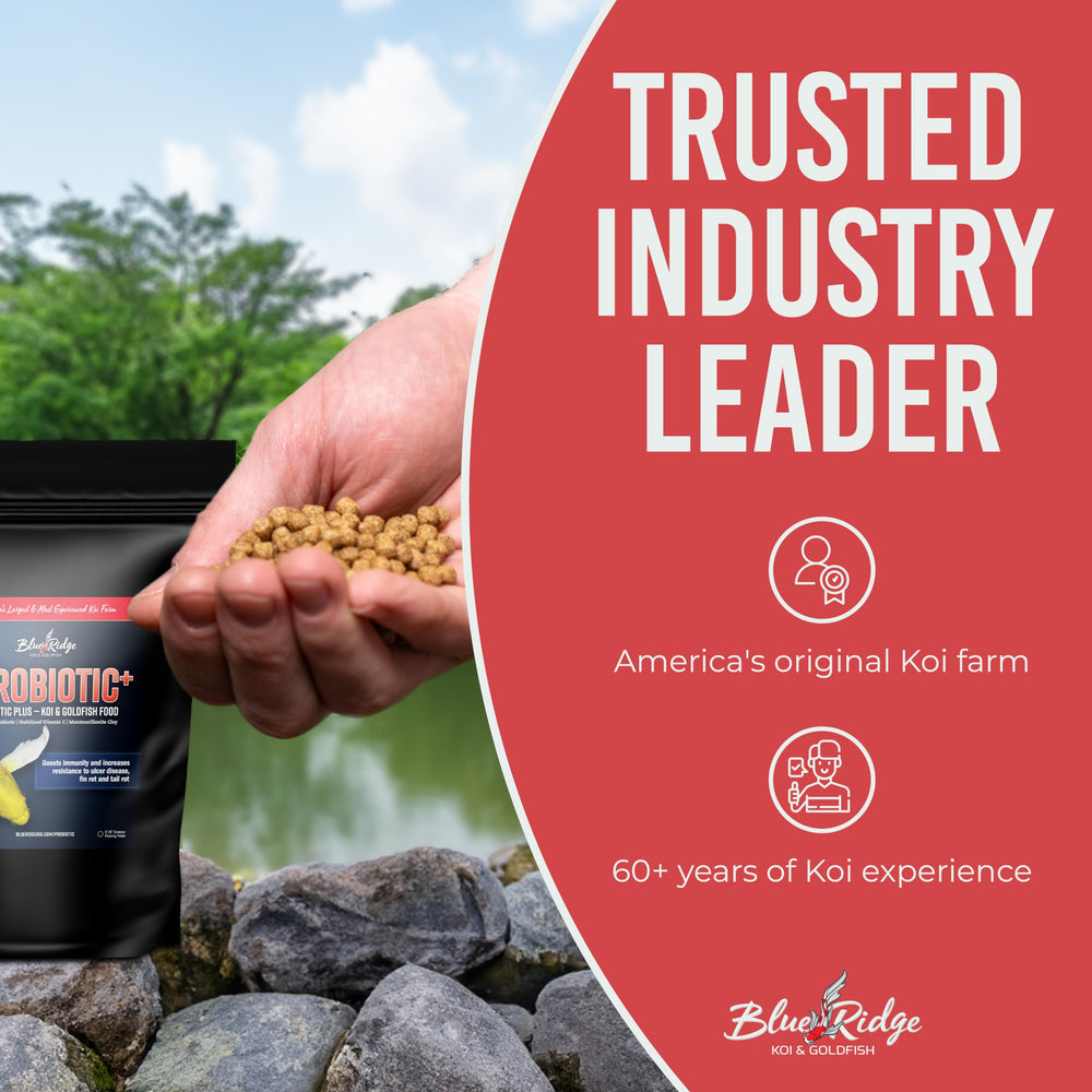 Blue Ridge color-enhanced koi food for deeper reds and crisper whites.