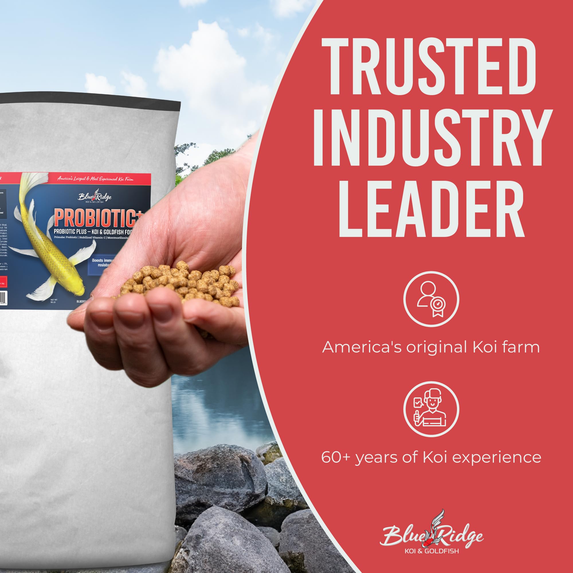 Blue Ridge Montmorillonite clay ingredient closeup emphasizes natural mineral support