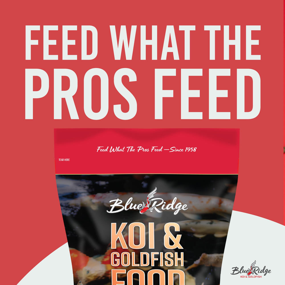 Blue Ridge Goldfish Food floating pellets providing balanced pond nutrition