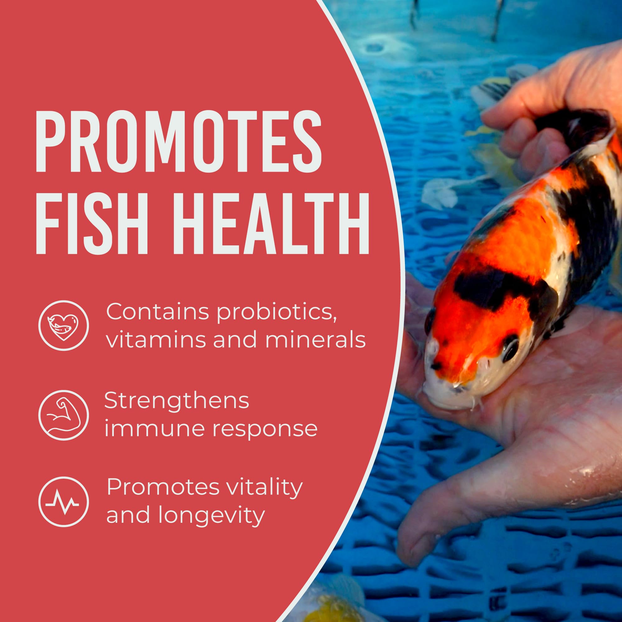 Blue Ridge Koi Food promotes balanced nutrition for pond health.