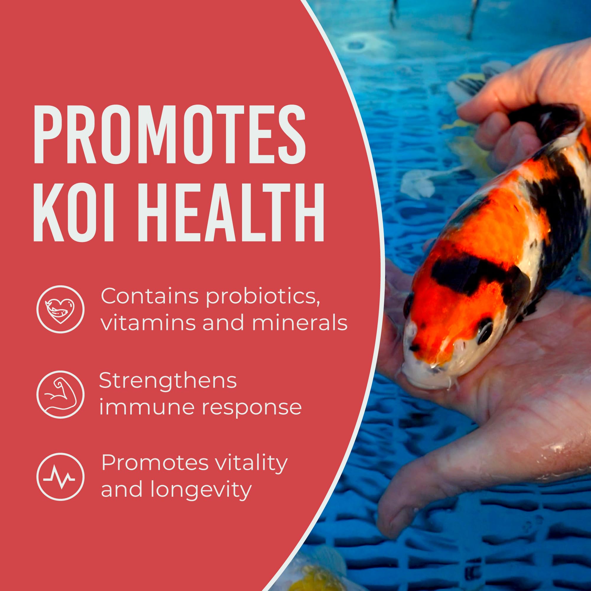 Blue Ridge Koi Food all-season formula supports year-round feeding.