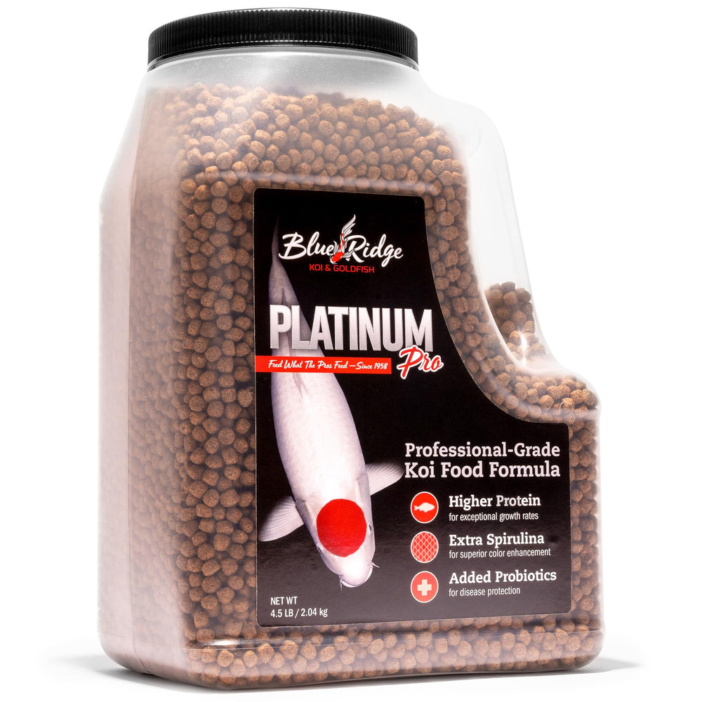 Blue Ridge Koi Food color enhancer with spirulina brightens koi hues.