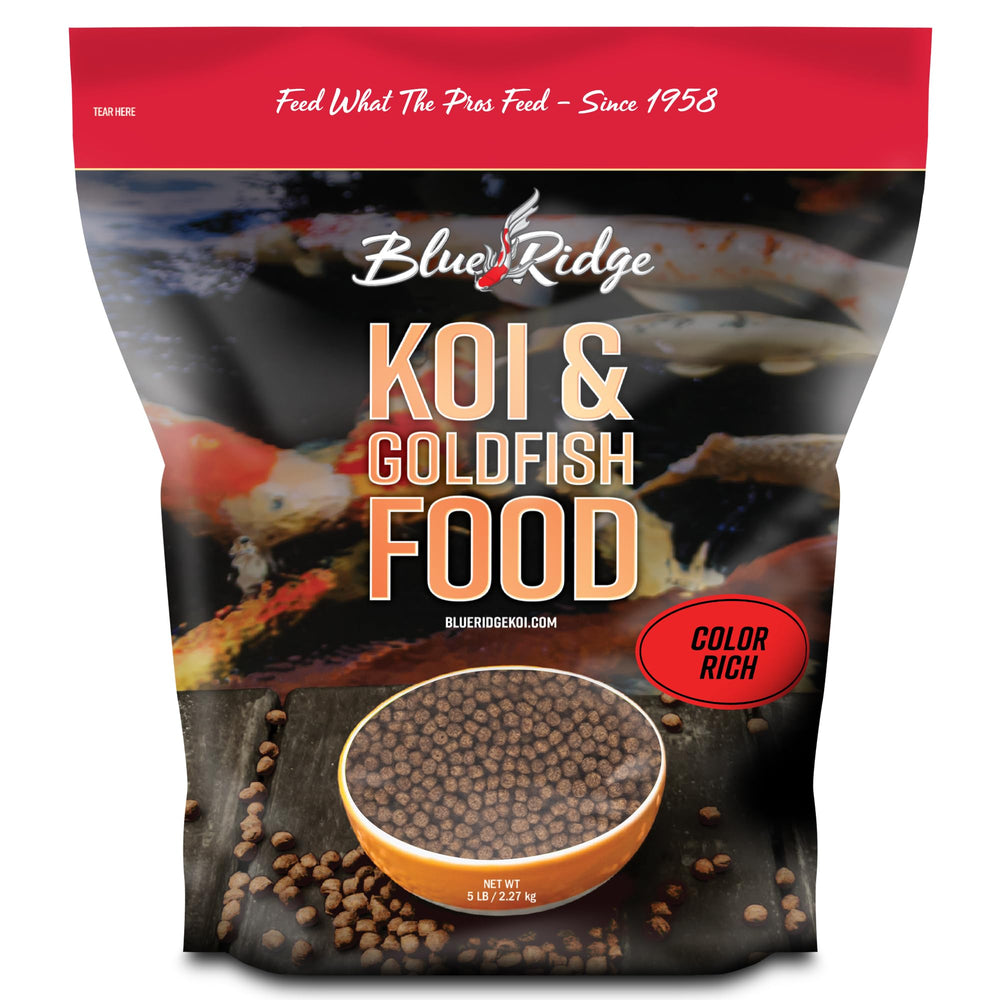 Blue Ridge Koi Food color-rich pellets highlight vibrant koi colors.