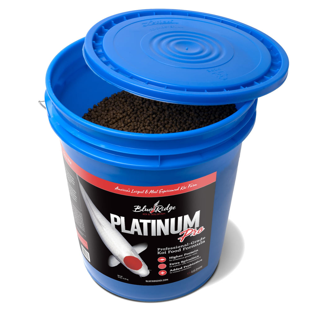 Blue Ridge Koi Food floating pellets close-up, easy surface feeding.