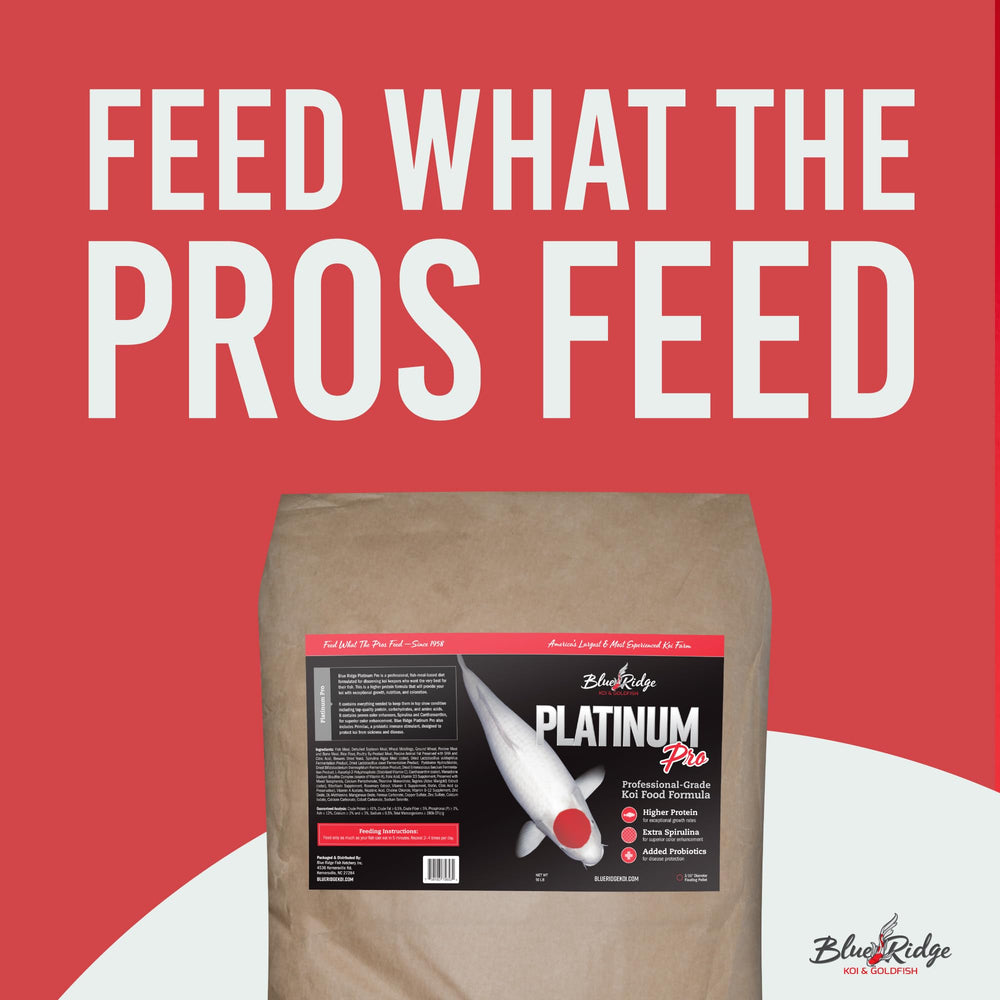 Blue Ridge Koi Food floating pellets for easy digestion and surface feeding