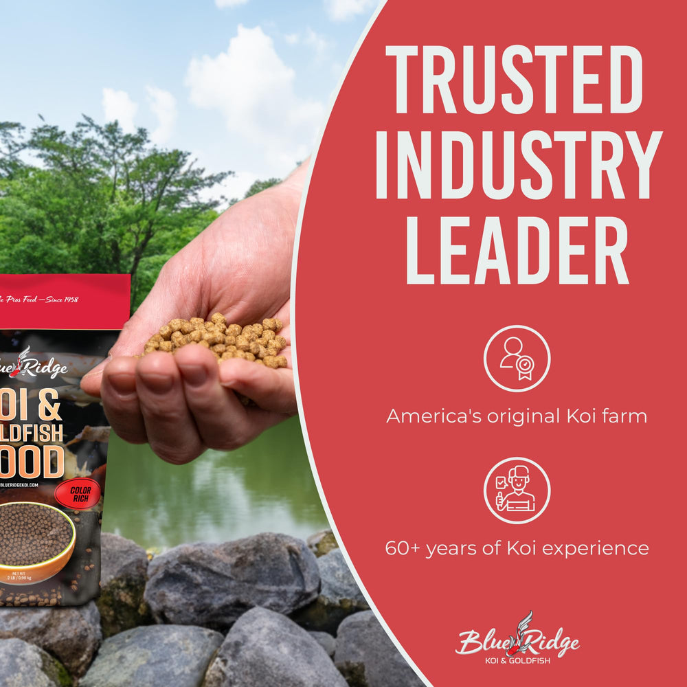 Blue Ridge Koi Food goldfish-friendly formula for mixed ponds.