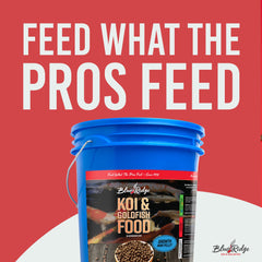 Blue Ridge Koi Food goldfish pellets provide easy feeding for mixed ponds.