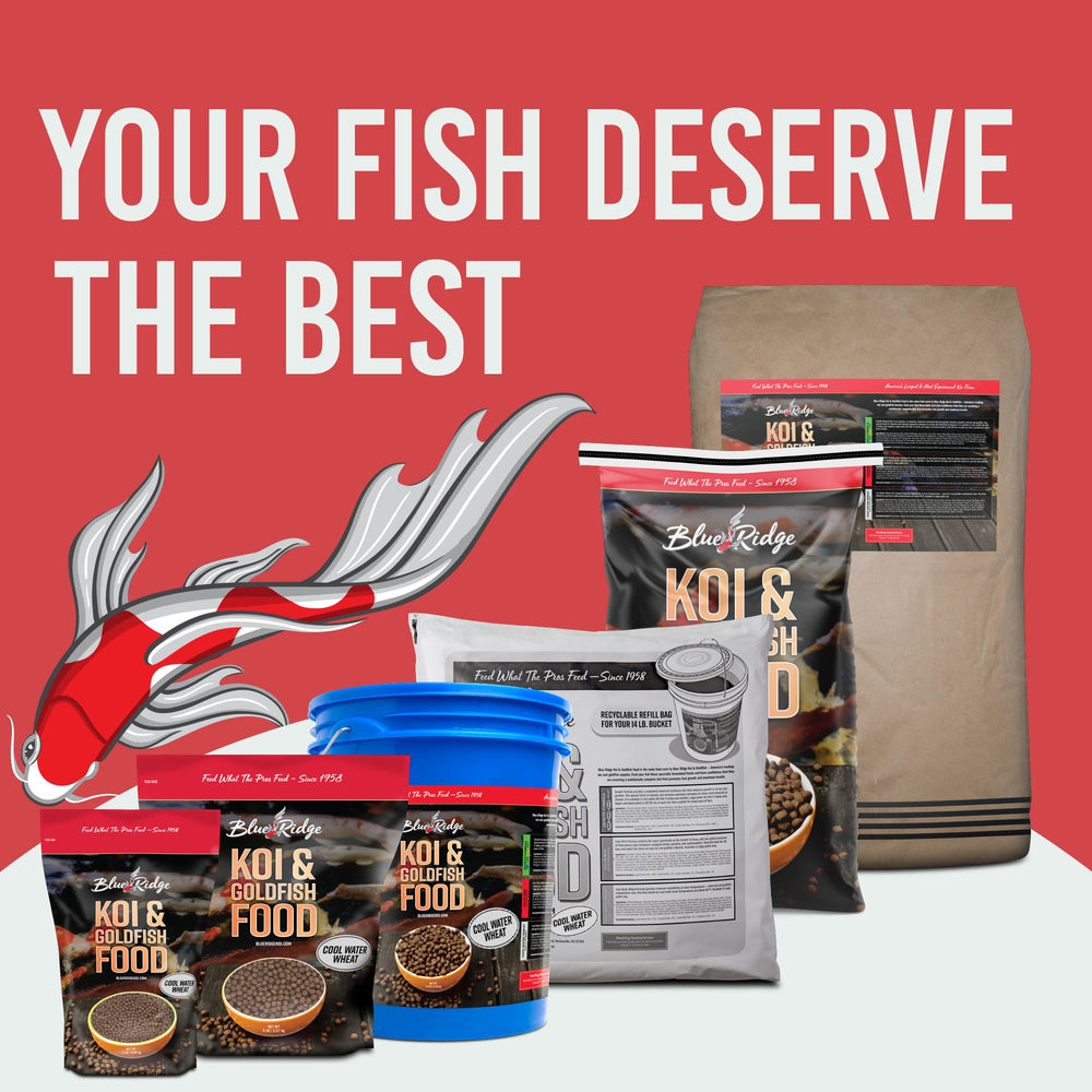 Blue Ridge Koi Food koi and goldfish nutrition for growth.