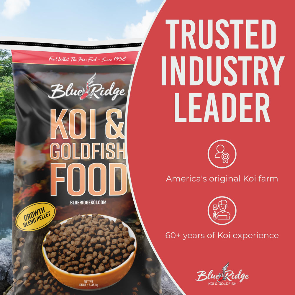 Blue Ridge Koi Food packaged for pond enthusiasts and families