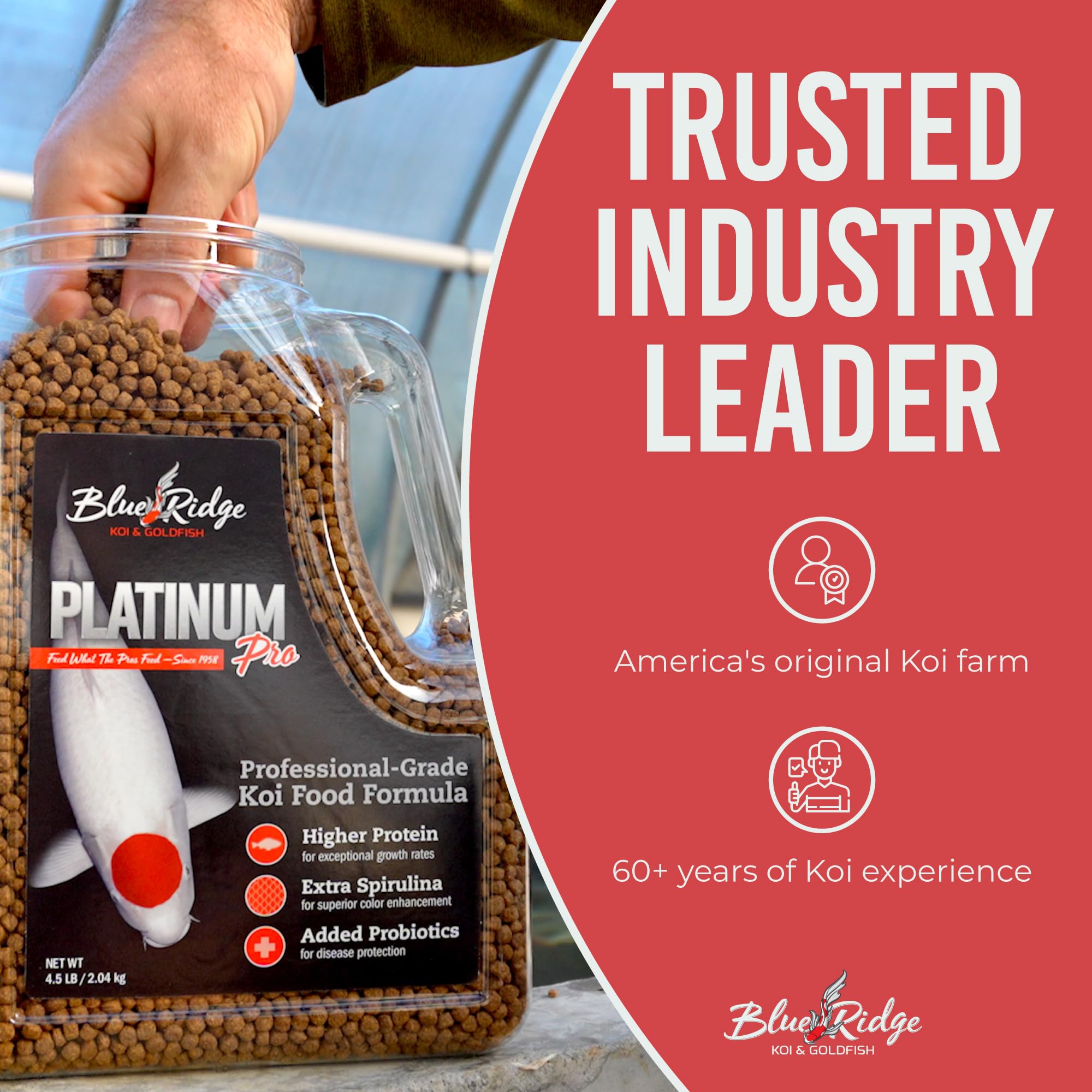 Blue Ridge Koi Food feeding pellets illustrate easy portioning for daily use.