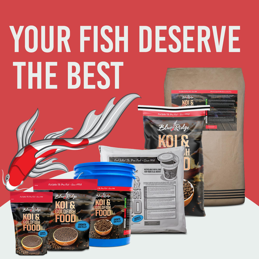Blue Ridge Koi Food pellets dissolving softly for easy digestion