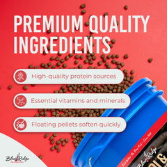 Blue Ridge Koi Food bag on pond deck promotes convenient feeding.