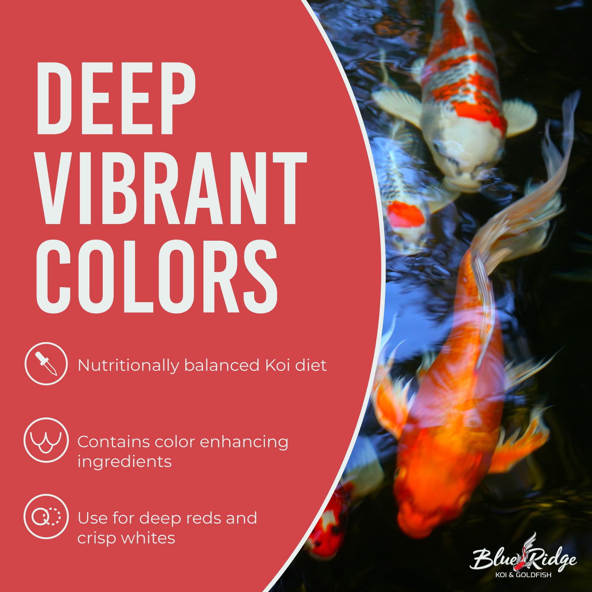 Blue Ridge Koi Food primilac probiotic supports digestive comfort and healthy gut flora