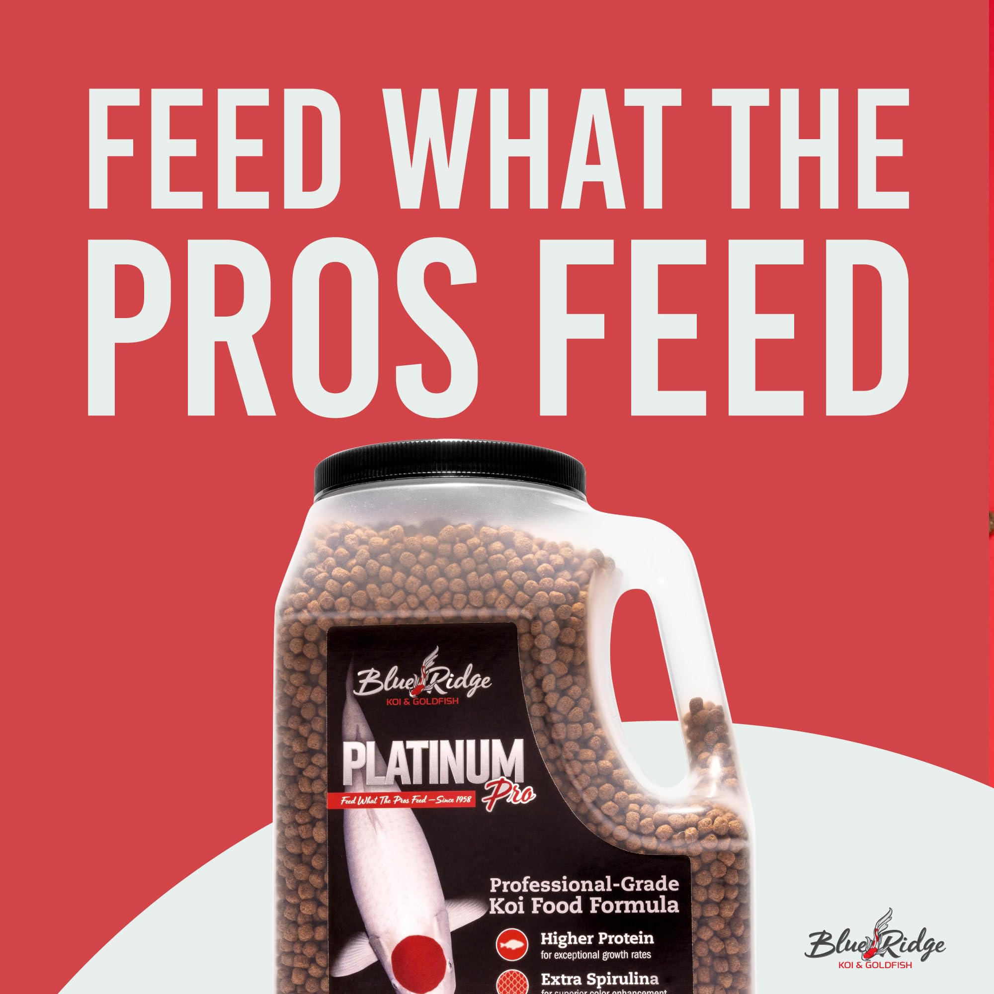 Blue Ridge Primilac probiotic supports koi immune health with a vitamin-rich blend.