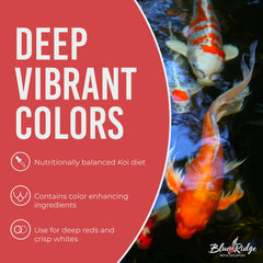 Blue Ridge Koi Food primilac probiotic supports digestive comfort and healthy gut flora
