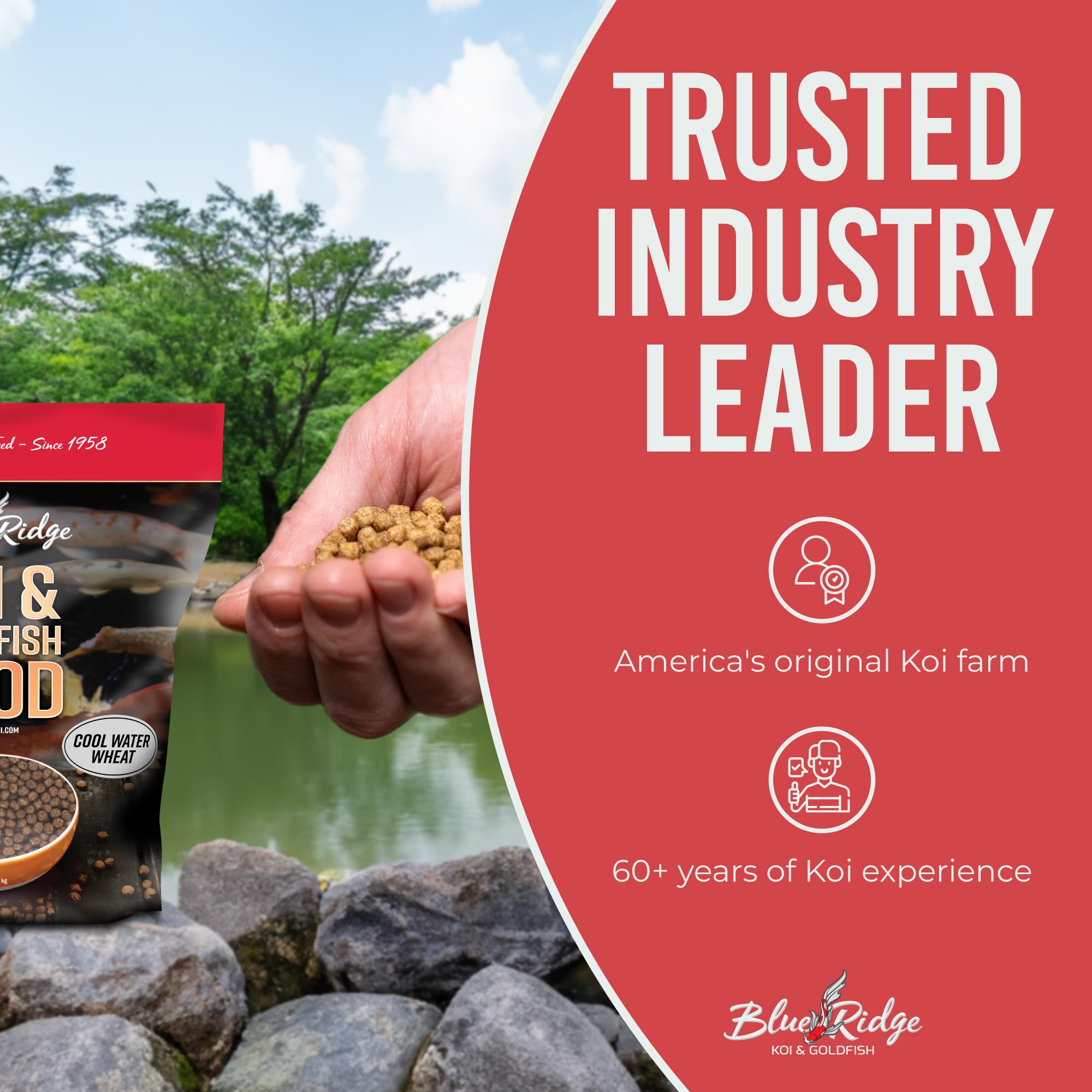 Blue Ridge Koi Food water-pollution friendly pellets maintain clarity.