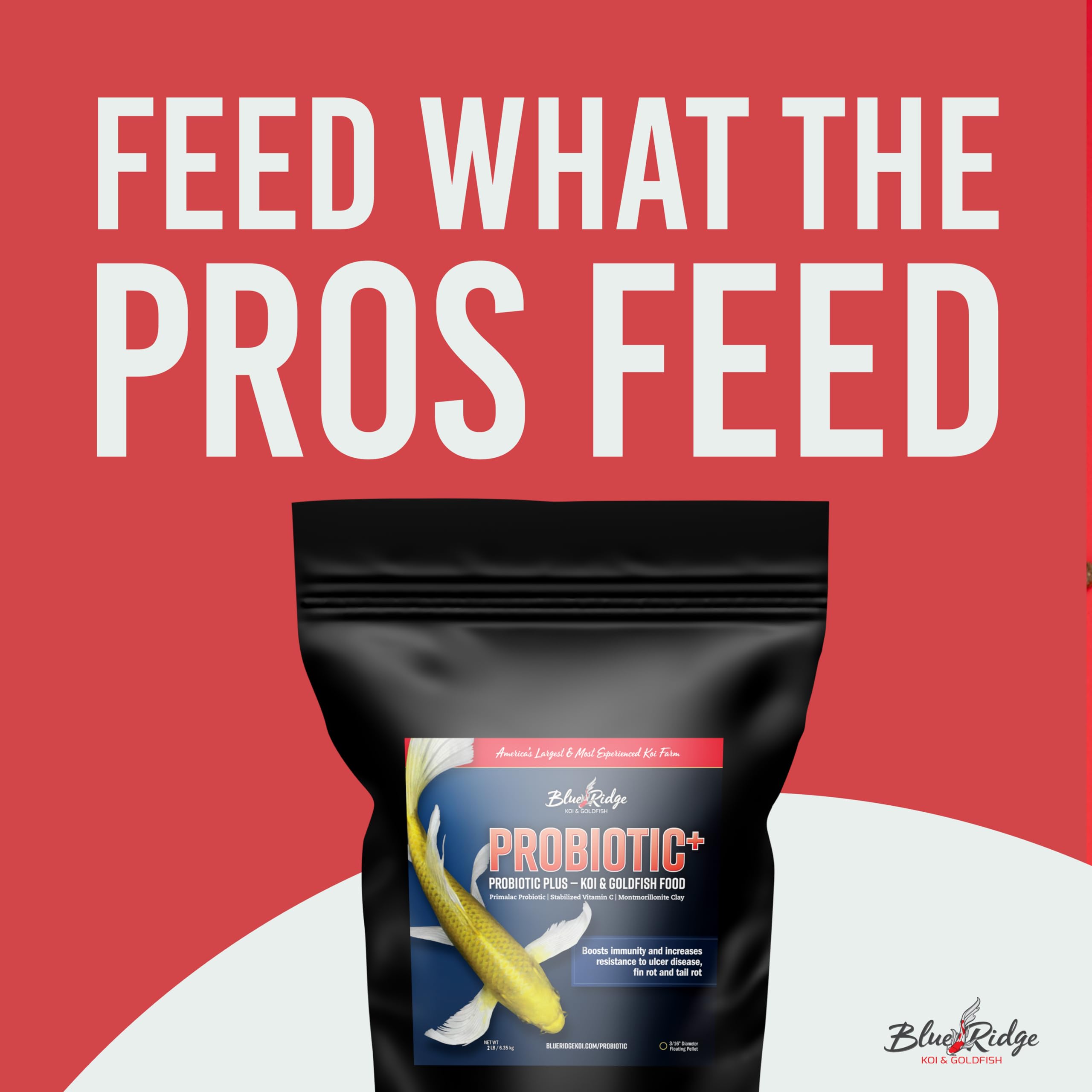 Blue Ridge Probiotic Plus 2lb packaging with probiotic blend and nutrients