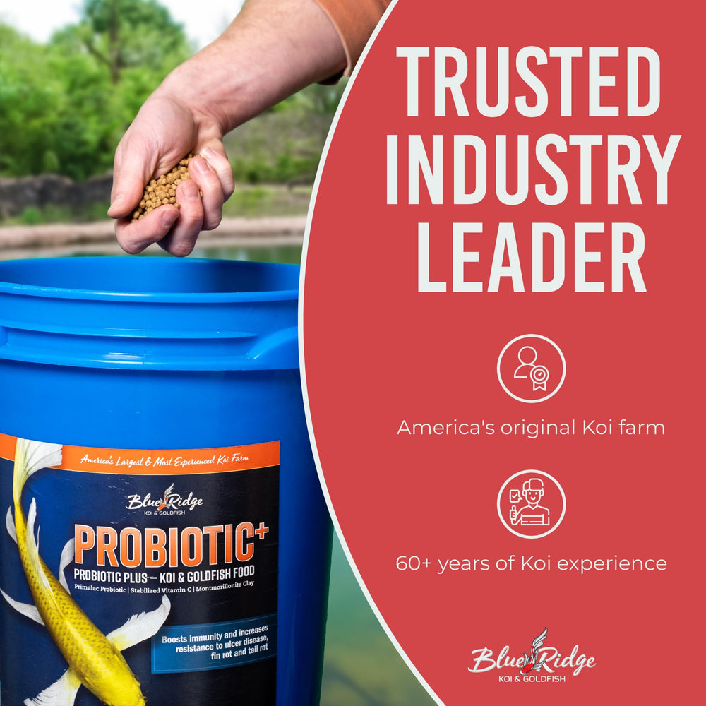 Blue Ridge Probiotic Plus mineral-rich formulation for balanced aquarium nutrition