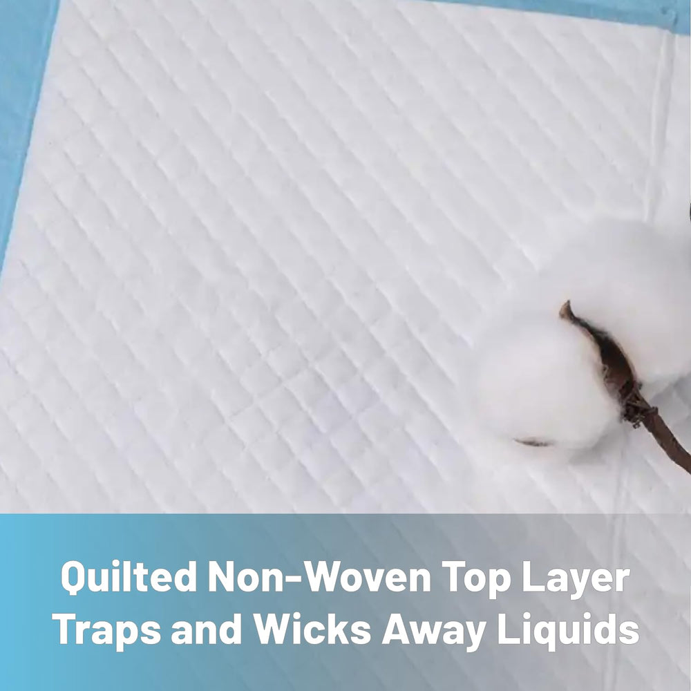 Blue Sky Wish disposable pads ready for easy replacement after use.