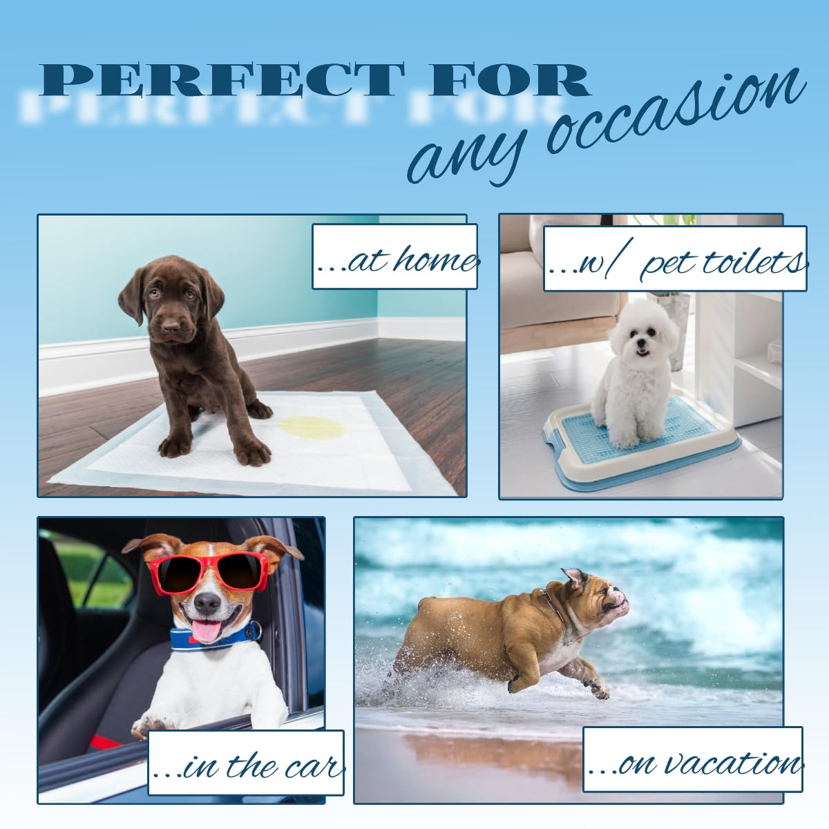 Blue Sky Wish training pads by the door for home potty training.