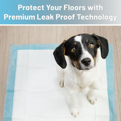 Blue Sky Wish pad edge-to-edge coverage with quick wicking for mess control.