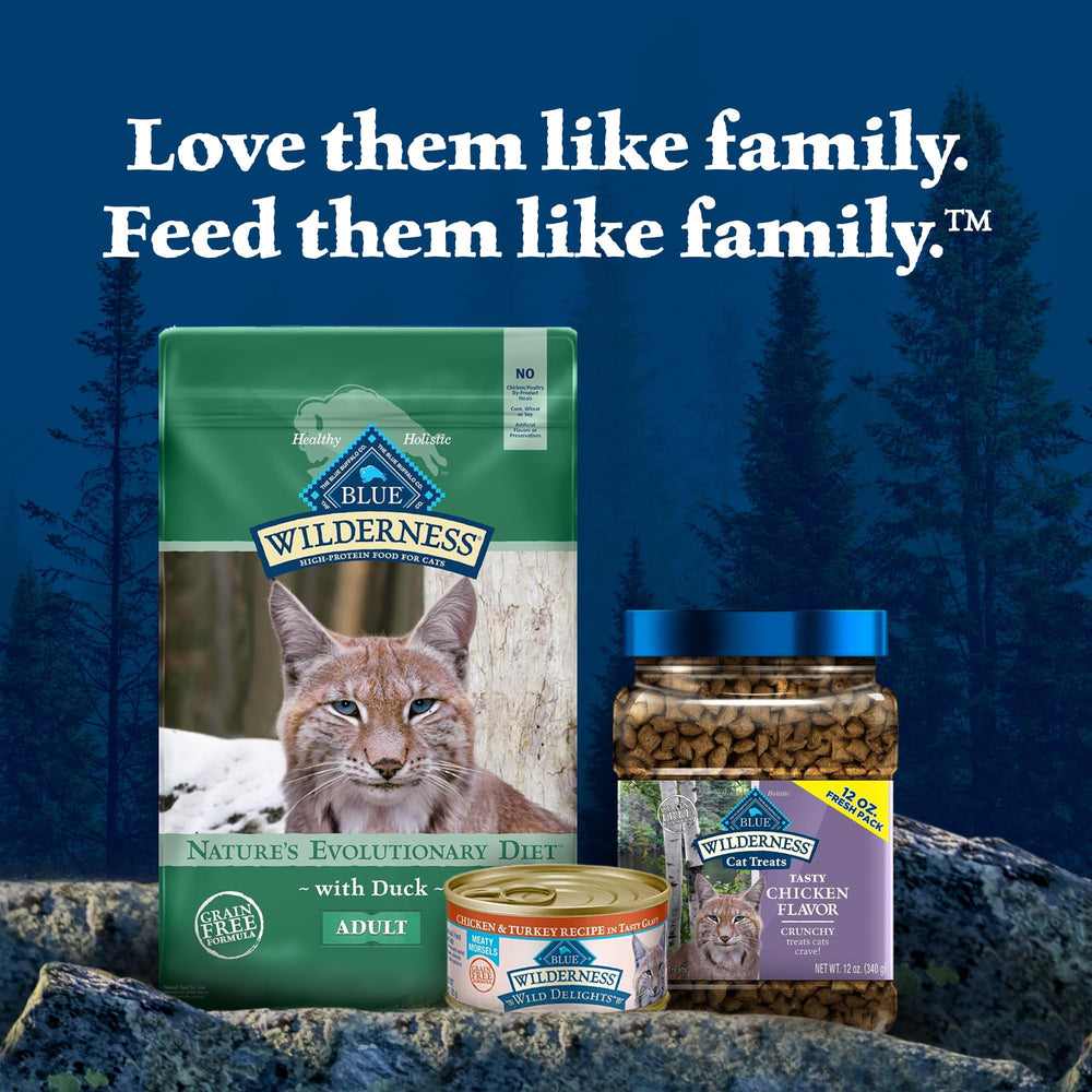 Blue Wilderness Duck Recipe grain-free formula image communicates digestion-friendly, allergen-conscious option.