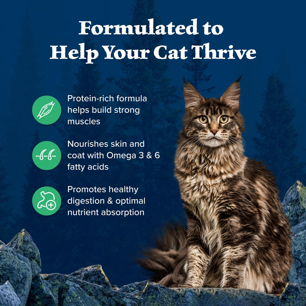 Blue Wilderness Duck Recipe kibble mountain showcases product texture for adult cats' meals.