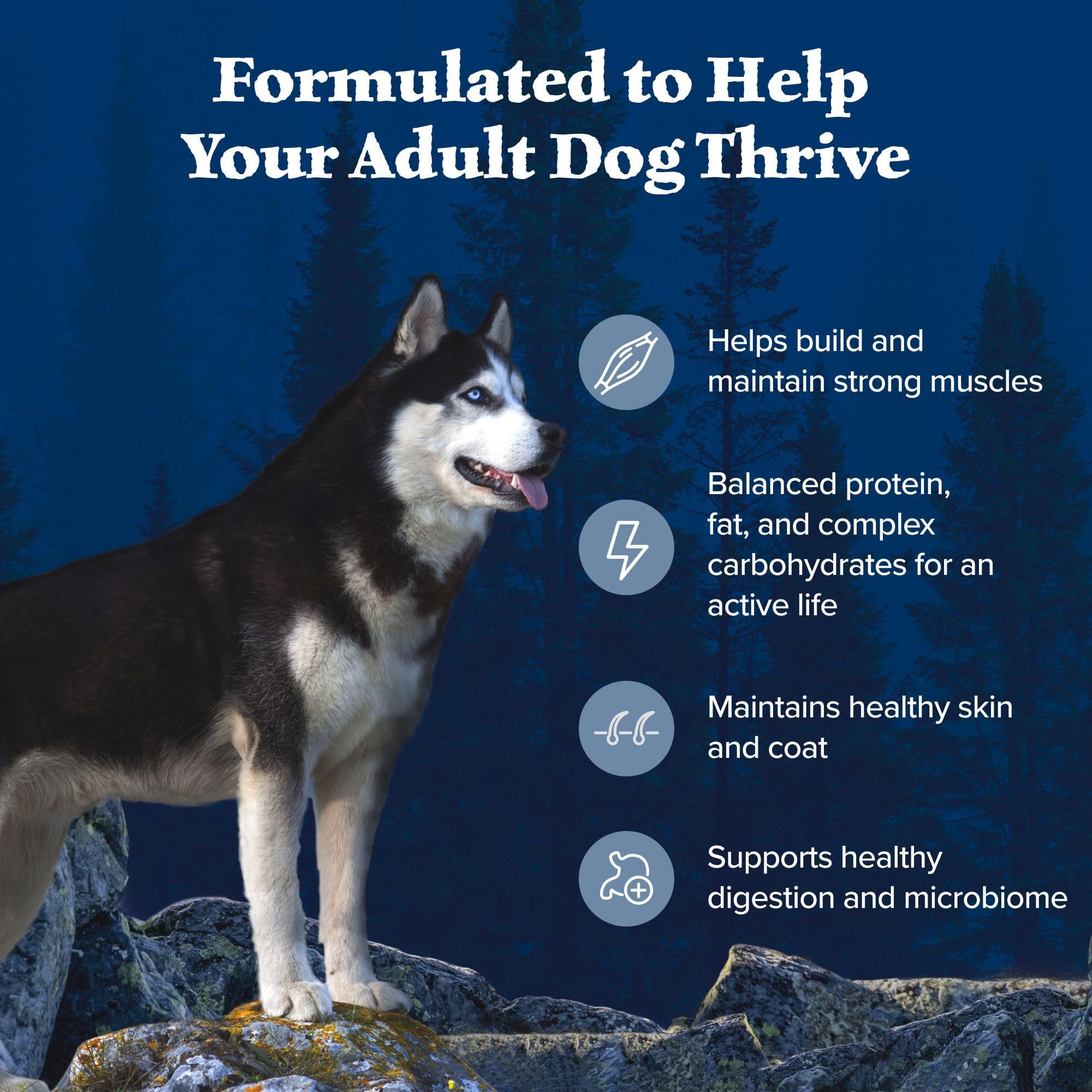 Blue Wilderness natural ingredients collection implies wholesome nutrition without artificial additives.