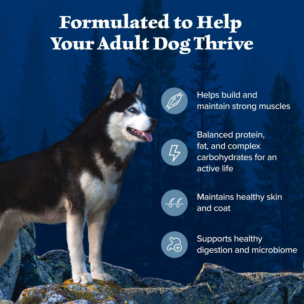 Blue Wilderness natural ingredients collection implies wholesome nutrition without artificial additives.
