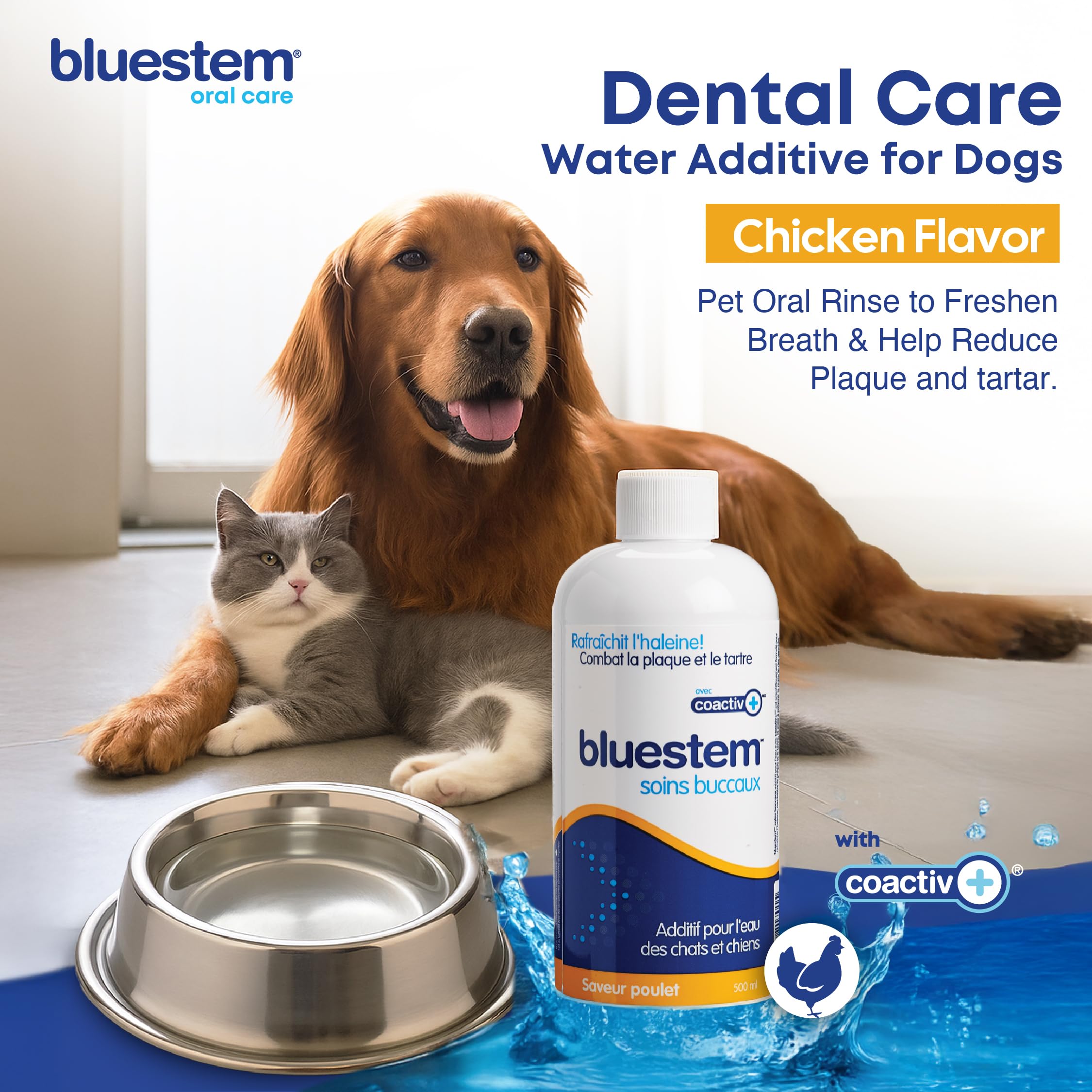 Bluestem Freshens cat breath bottle aids daily use for cleaner breath.