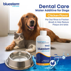 Bluestem Freshens cat breath bottle aids daily use for cleaner breath.
