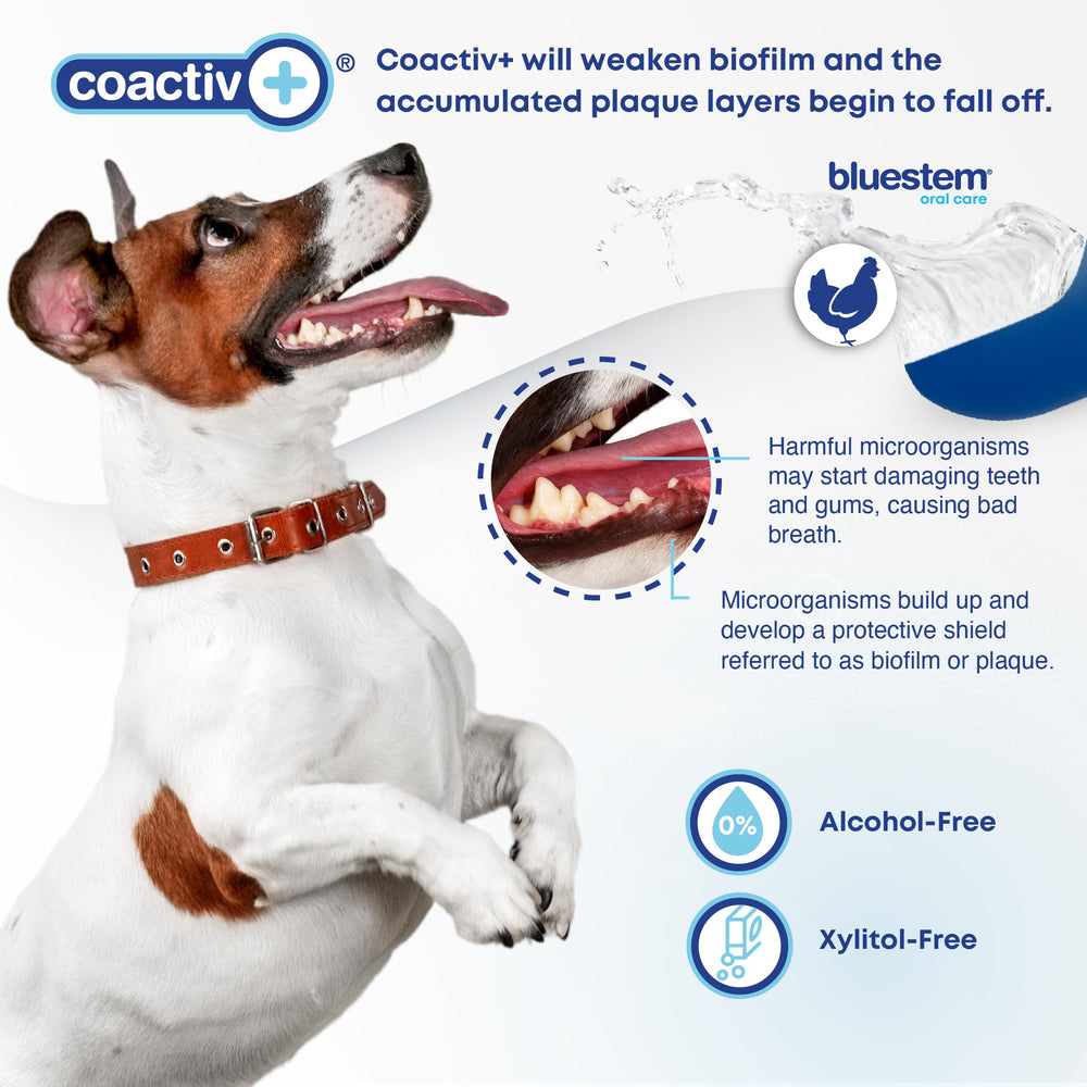 Bluestem Freshens water bowl compatibility works in most bowls without foaming.