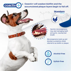 Bluestem Freshens water bowl compatibility works in most bowls without foaming.