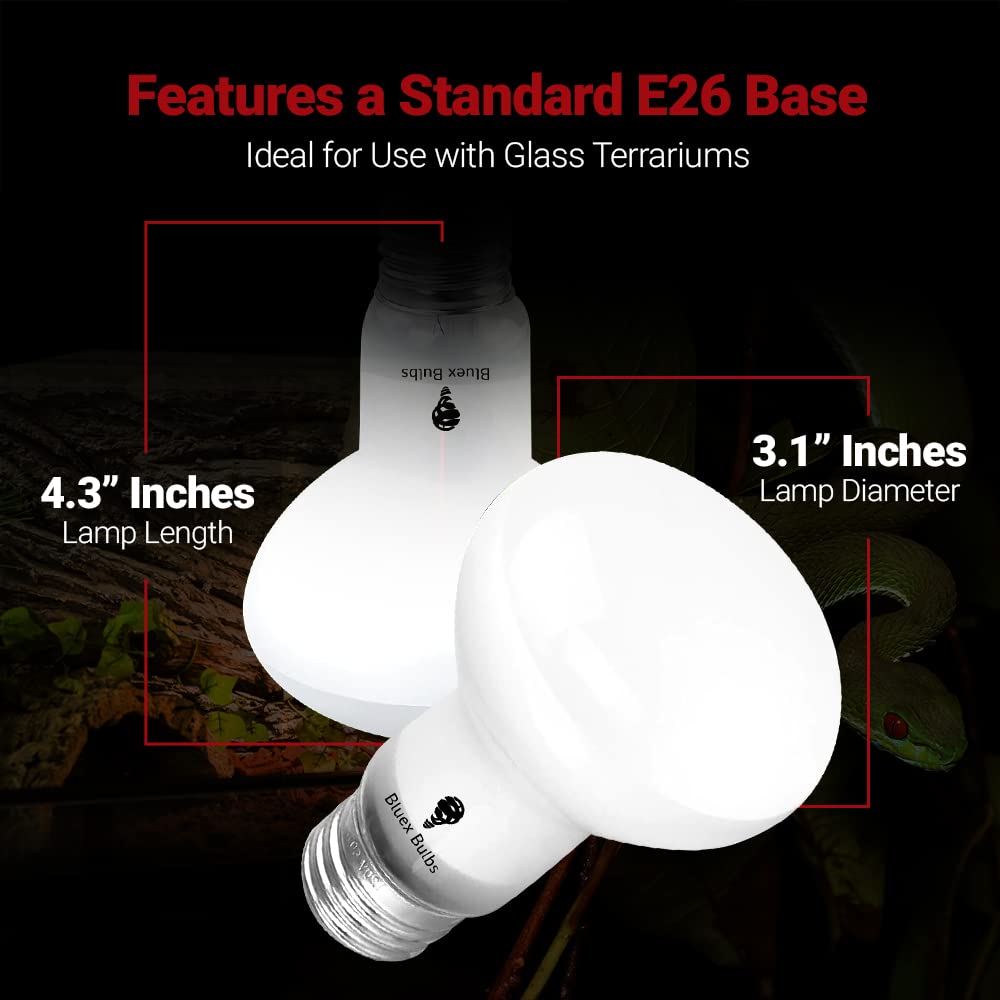 Bluex Bulbs glass terrarium heat lamp providing even temperature in habitat.