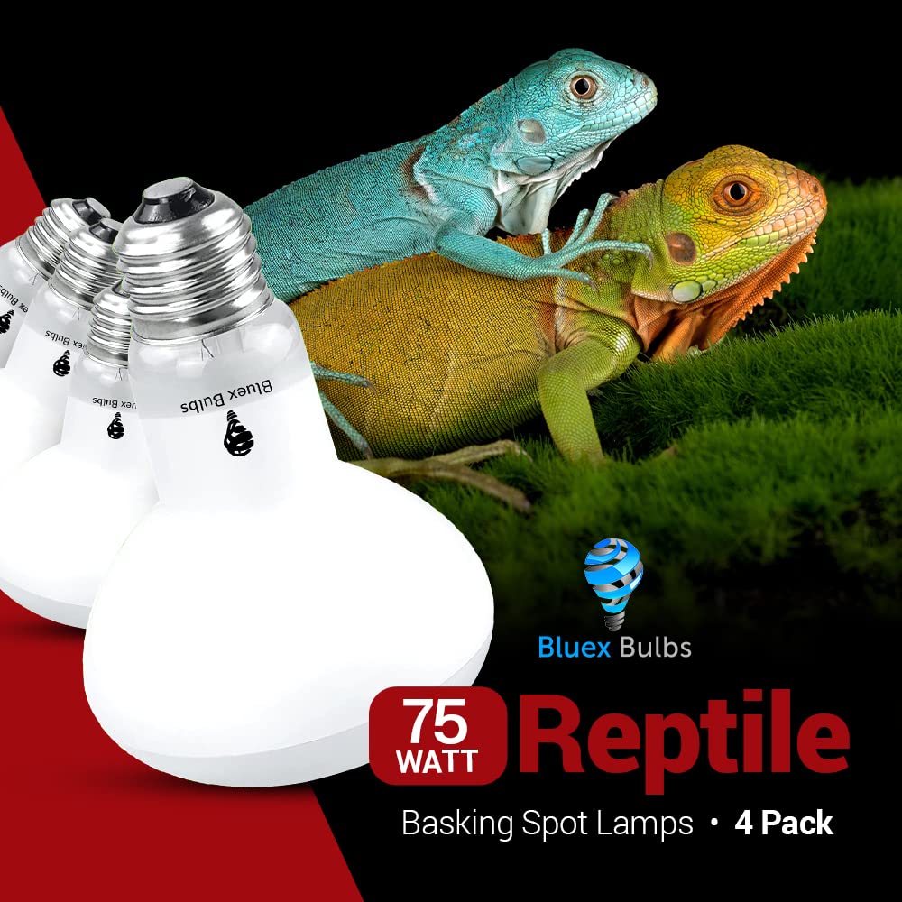 Bluex Bulbs long-lasting 2000 hours for reliable reptile lighting.
