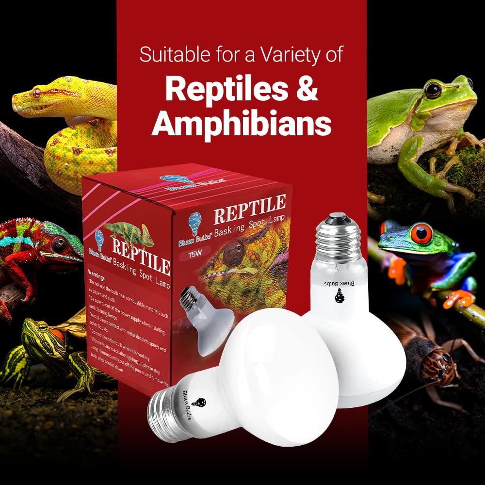 Bluex Bulbs reptile heat lamp close-up showing focused warmth.