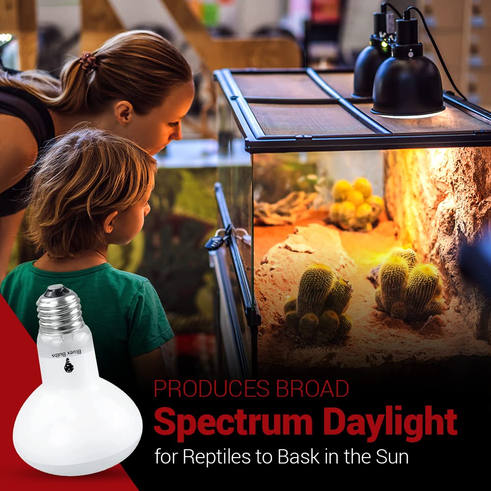 Bluex Bulbs for turtles snakes amphibians in glass terrariums.