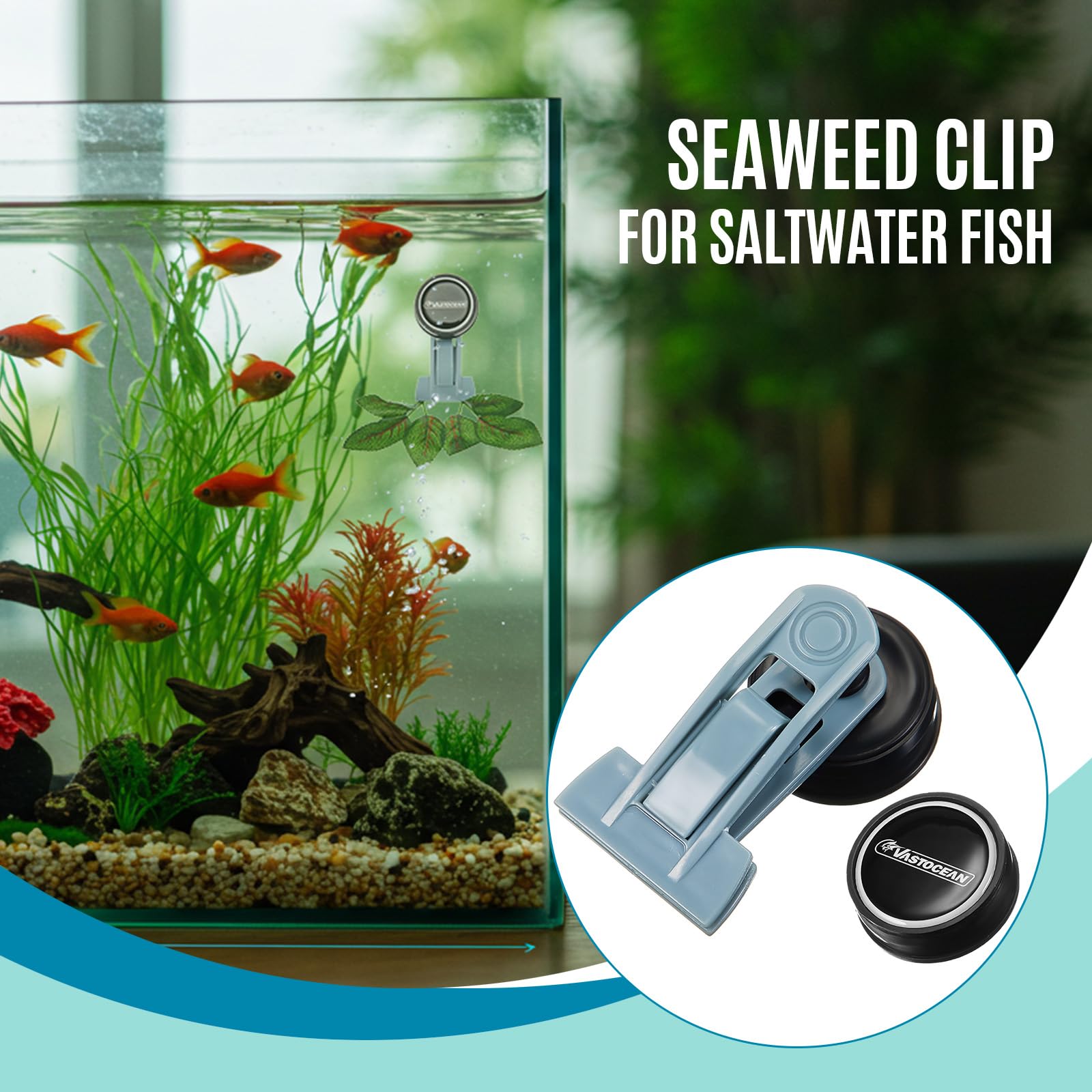 Blulu 2-pc magnetic feeder versatile for diverse aquatic pets.