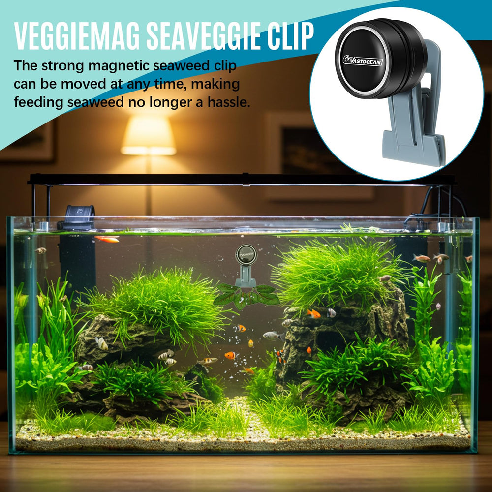 Blulu magnetic clip compatible with glass tanks up to 12 mm.