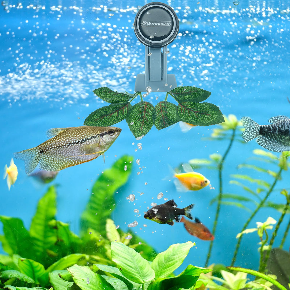 Blulu portable seaweed clip design for on-the-go feeding.